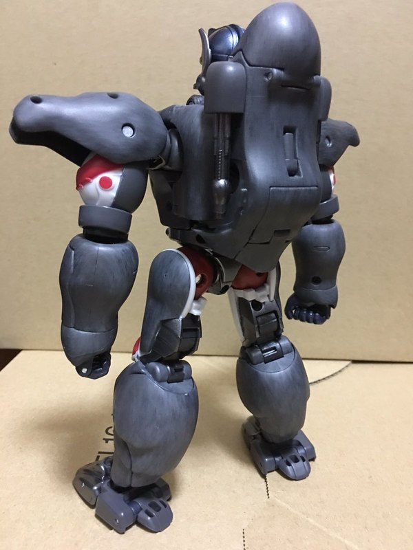 MP 32 Masterpiece Optimus Primal   In Hand Photos Surface On Twitter  (11 of 81)